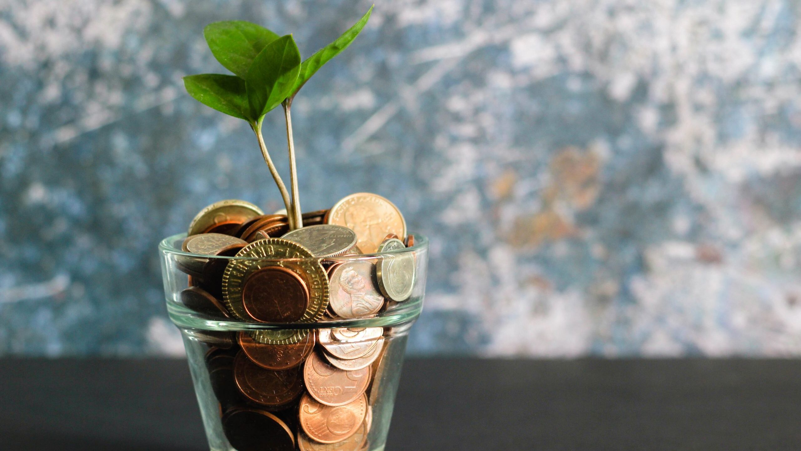 Glass of coins with a small green sprout.