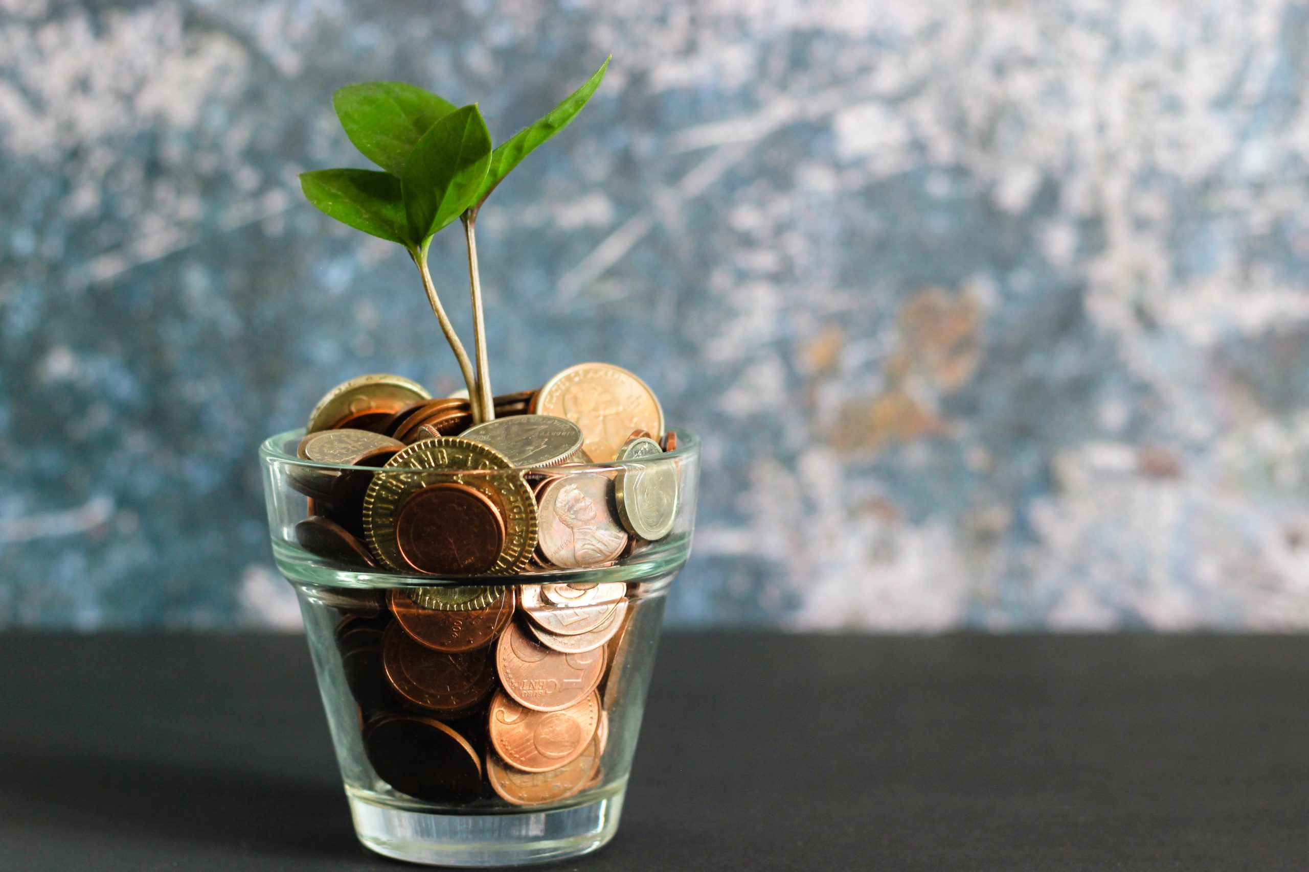 Glass of coins with a small green sprout.
