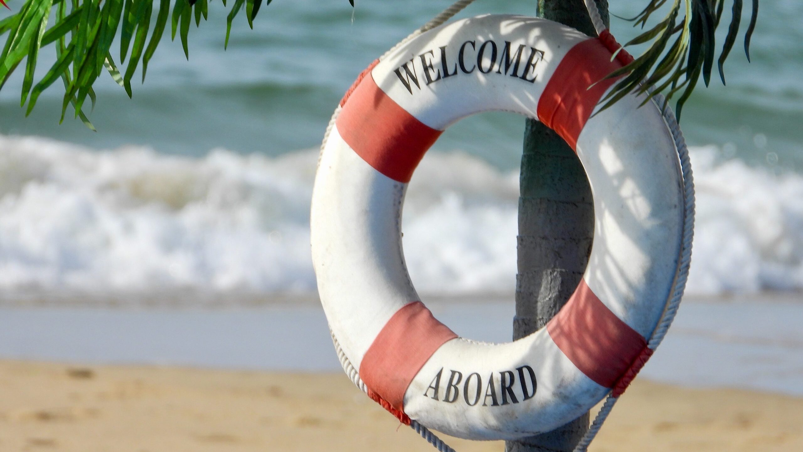 Welcome aboard life saver hanging on a palm tree on the beach.